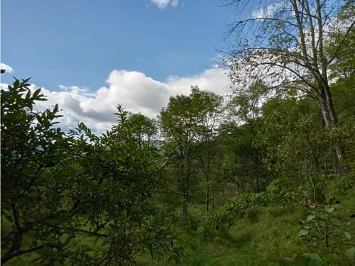 Vendo Finca Reventones Anolaima