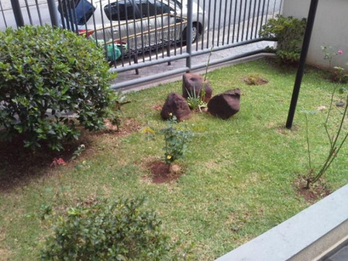 Imagem 30 de 30 de Ótimo Apartamento De Locação No Bairro Da Penha - 129