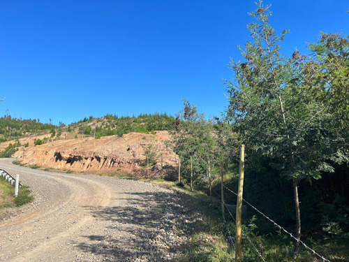 Terreno En Arriendo Con Alto Potencial Multipropósito