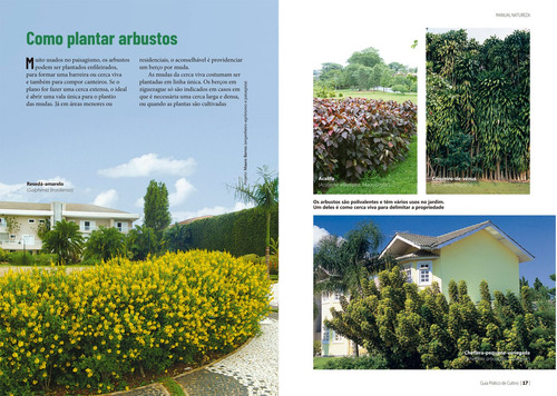 Manual Natureza - Volume 4: Guia Prático de Cultivo, de Editora Europa. Editorial Editora Europa, capa mole em português, 2022