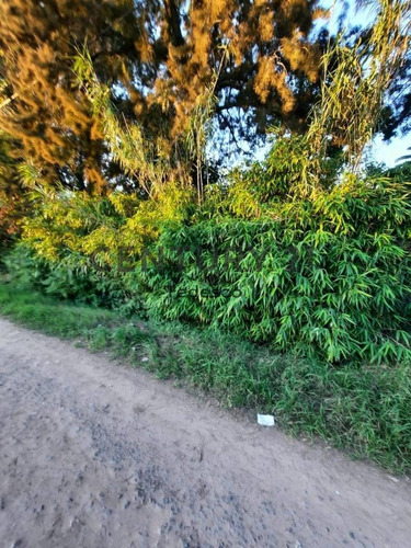 Imagen 2 de 3 de 27 Bis Entre 422 Y 426, Lote En Ph En Venta, Villa Elisa.-