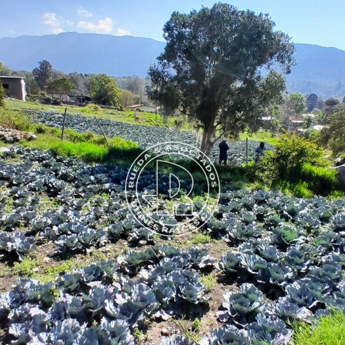 En Venta Terreno En El Playon Alto El Valle Mérida Venezuela
