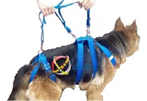 Comprar Arnés Rehabilitación - Ortopedia Veterinaria Talle 0-1-2