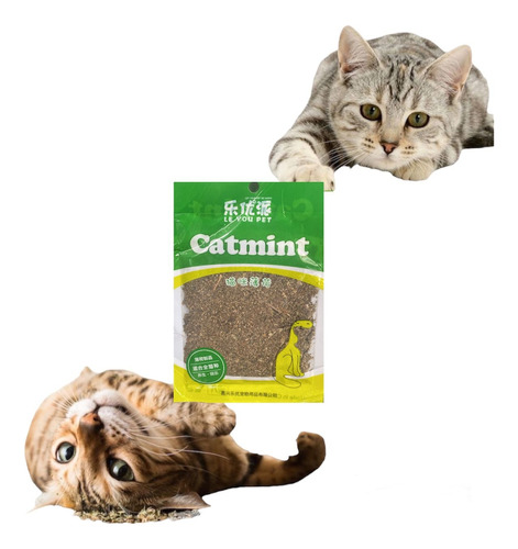 Catnip Para Gatos. Hierba Gatuna. Cat Nip Gatos.sobre Catnip