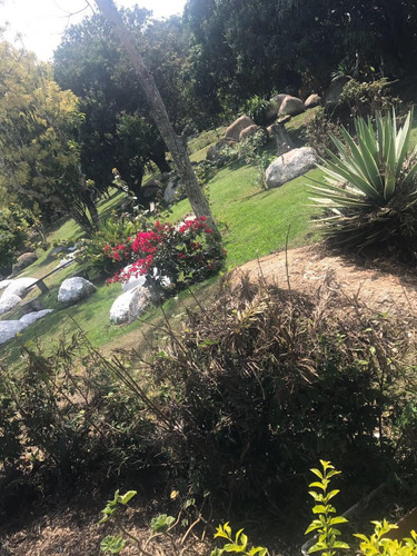 Imagem 4 de 14 de Bela Chácara Com Área De 8.000 M², Casa Sede E De Caseiro !!