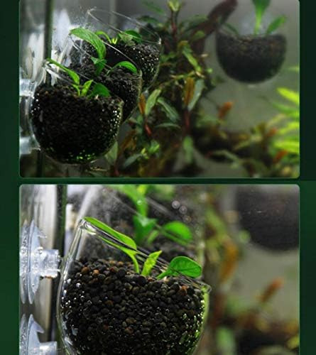 Tfwadmx - Soporte Para Plantas De Acuario, Maceta Para Decor