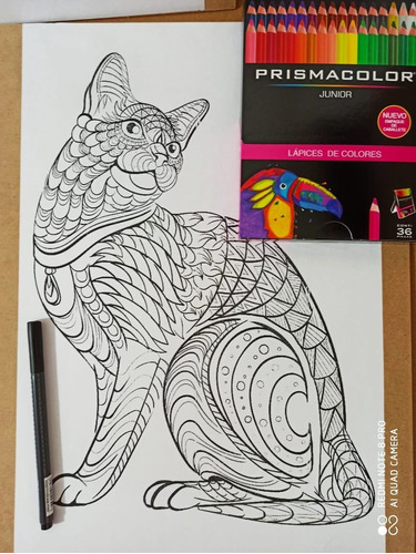 Kit De Mandala Para Colorear