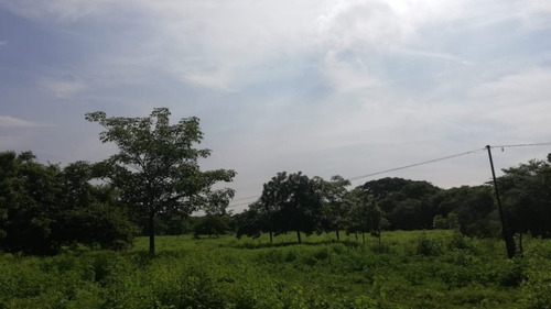 Imagen 2 de 12 de 20 Mzs Carretera Suburbana - Managua