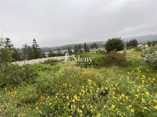 Venta Terreno Construcción Viña Del Mar Los Pinos
