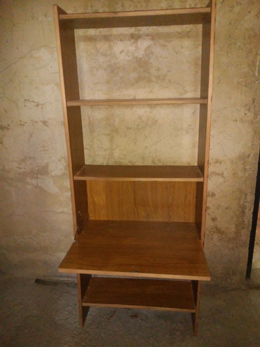 Estante De Madera Con Puerta Rebatible (Usado)