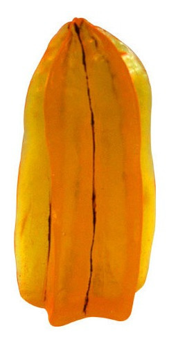 Molde Forma Silicone Carambola Ib-496