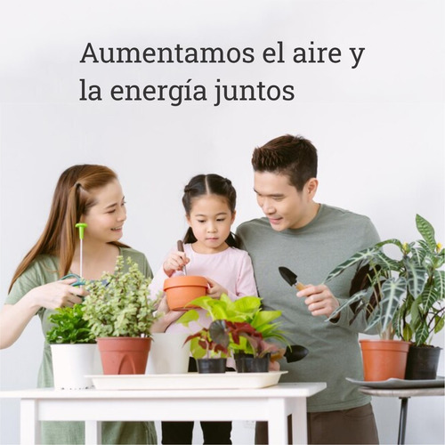 Imagen 4 de 5 de Planta Geranio Gitanilla Rojo Moron Raices Arcoiris