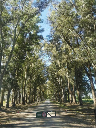 Terreno En Venta - 2.777,30mts2 - Carlos Keen