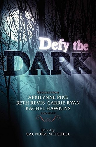 Defy The Dark : Saundra Mitchell 