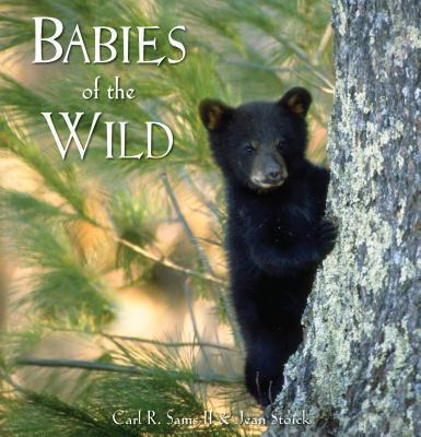 Libro Babies Of The Wild - Carl R Sams, Ii