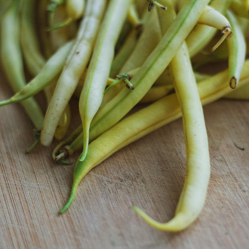 Semillas De Rocdor Amarillo Para Huerta En Casa