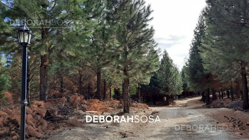 Imagen 17 de 29 de Oportunidad Solo Por 30 Dias! Espléndido Terreno En Altos De Pehuenia