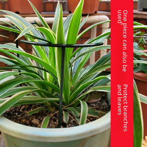 Pbf Soporte Grande For Macetas De Jardín For Orquídeas Y