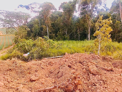 Imagem 27 de 29 de 06-terreno A Venda Com 1000m No Interior !!!