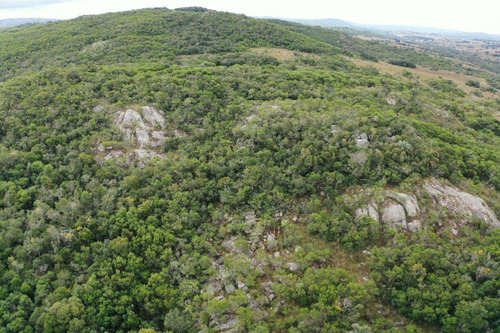 Venta De Campo De 70 Hectareas En Sierras De Garzon - Paso De La Cantera