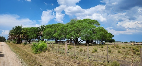 Imagen 4 de 30 de Excelente Campo Con Muy Buenas Mejoras .