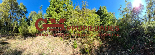 Excelente Parcela Camino A Termas De Chillán