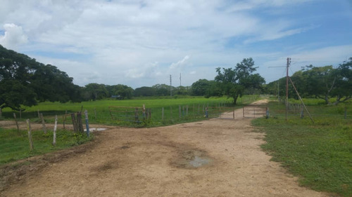 Imagen 23 de 27 de Se Vende Finca Hacienda En Estado Zulia, Ml