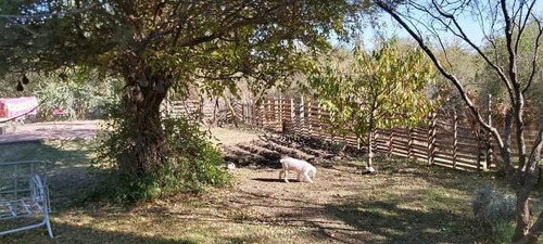 Imagen 25 de 30 de Casa Con Parque En Las Tapias - Traslasierra