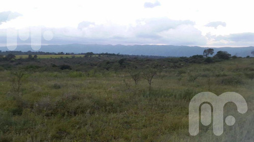 Imagen 3 de 5 de Venta Terreno - Villa General Belgrano