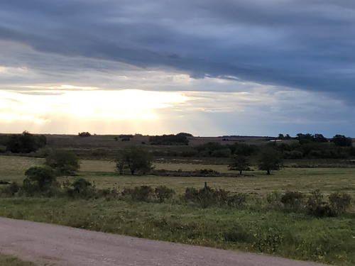 Imagen 18 de 20 de Venta De Hermosas Chacras: Barrio De Chacras El Colorado De Migues Ruta 88 A 10 Km. De Tapia Y 5 De Migues.