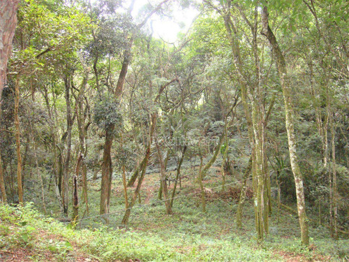 Imagem 3 de 11 de Terreno À Venda, 1472 M² 0 - Granja Viana - Carapicuíba/sp - Te9125