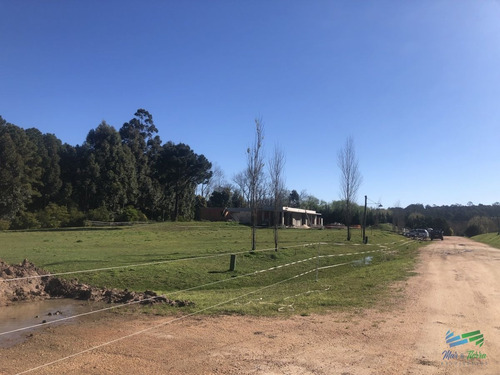 Imagen 9 de 16 de Terreno De 2000 M2 En Venta Zona Punta Ballena Barrio Los Tordillos - Punta Ballena Los Tordillos