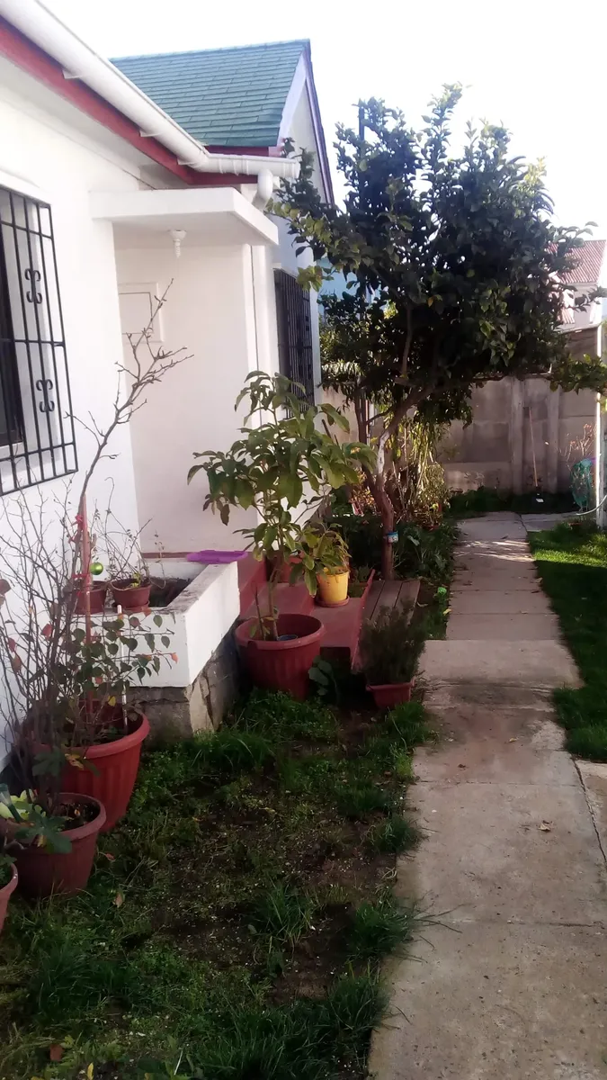Imagen 4 de 13 de Centro De Quilpue, Excelente Oportunidad.