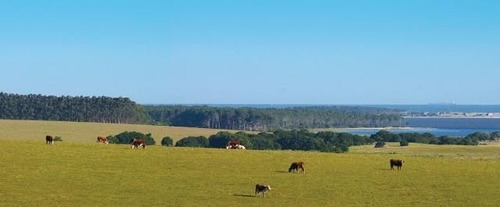 Quinta En Venta En Jose Ignacio