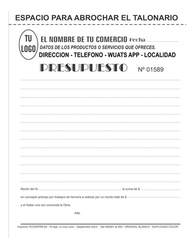 10 Talonarios 14x20 - Duplicados Numerados Papel Blanco