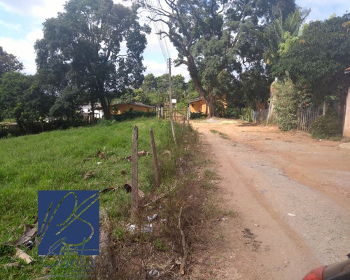 Imagem 5 de 14 de Sitio - St00014 - 32225633