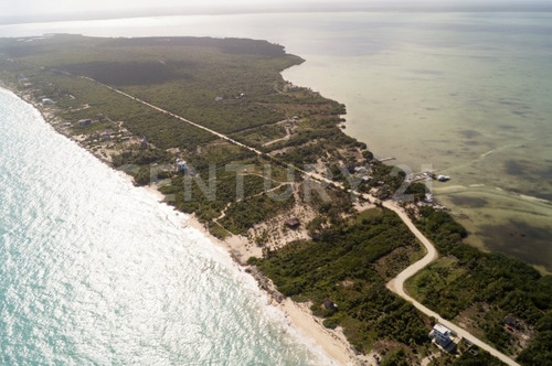 Imagen 11 de 22 de Terreno Con Hermosa Playa Para Desarrolladores En Isla Blanca Cancún C2509