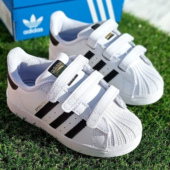 Adida Superstar Quito | MercadoLibre.com.ec