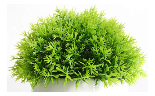 Macetita Artificial Bonsai Para Estantes Deco X 3 Unidades Verde
