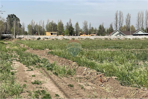 Terreno Plano, Loteo Cerrado, Trewhela´s, Pucalán