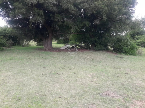 Campo De 5 Has Con 5891 M2