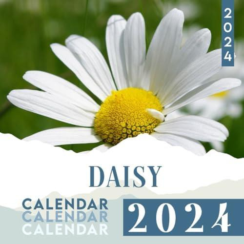 Libro: Daisy Calendar: Relax Calendar 12 Month 2024 Bonus 6 