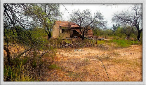 Campo En Venta En Patquia, La Rioja