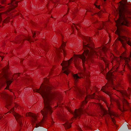 Juego De 4600 Petalos De Rosa Rojos Para Noche Romantica Par
