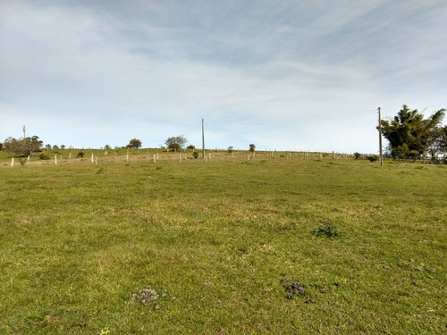 Chácara 15.000 M² - Passo Grande - Glorinha - Rs - 1514 - 32420035