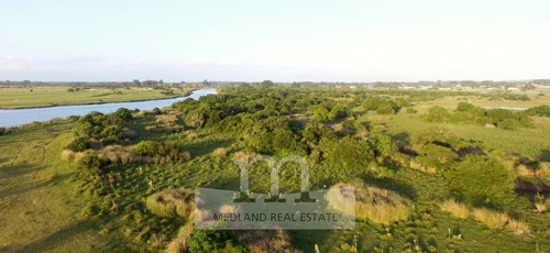 Venta Campo - Lugar Soñado Con Playa Y Palmeras- Ref: 240