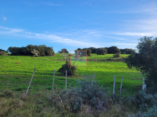 Imagen 20 de 26 de 70 Hectáreas De Campo Ganadero Corte De La Leña