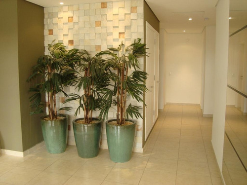 Apartamento Para Alugar, 55 M² Por R$ 2.000,00/mês - Alto Do Pari - São Paulo/sp - Ap7871