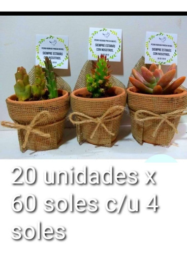 Imagen 3 de 3 de Cactus Y Suculentas Bautizos,matrimonio,misas,baby Shower