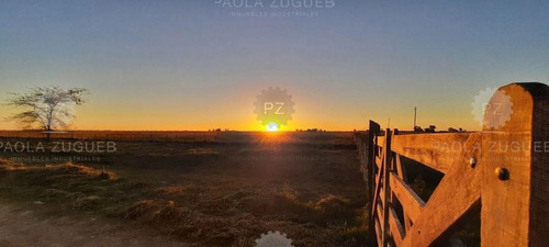 Imagen 8 de 20 de Terreno Emp. Rural En Venta Ubicado En San Vicente, G.b.a. Zona Sur